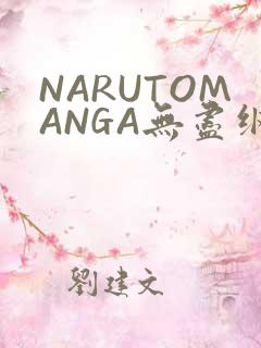 NARUTOMANGA无尽纲手