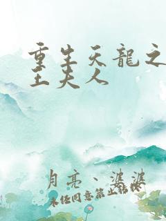 重生天龙之推倒王夫人