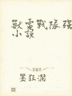 兽电战队强龙者小说