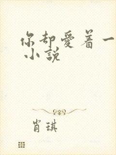 你却爱着一个他 小说