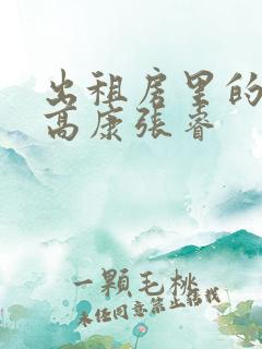 出租房里的交互高康张睿