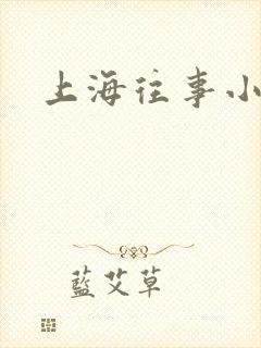 上海往事小说