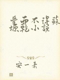 爱而不得苏路顾塬乾小说