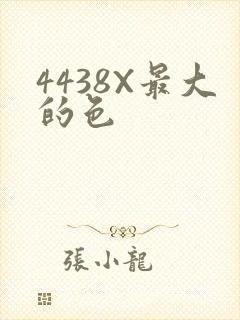 4438X最大的色
