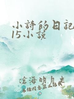 小诗的日记1一15小说