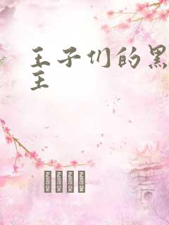 王子们的黑道公主