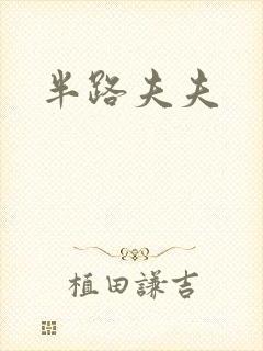 半路夫夫