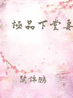 极品下堂妻