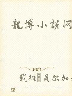龙博小说网