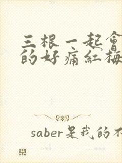 三根一起会坏掉的好痛红梅