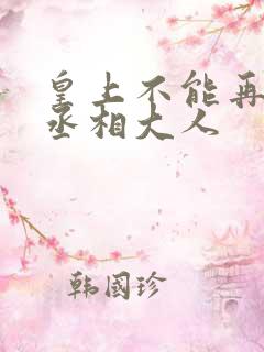 皇上不能再进了丞相大人