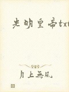 光明皇帝txt