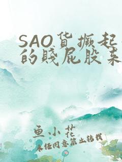 SAO货撅起你的贱屁股来