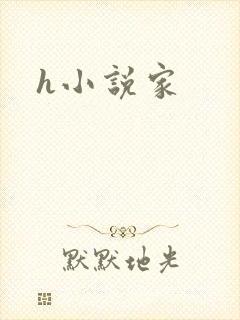 h小说家