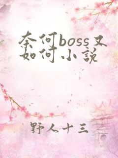 奈何boss又如何小说