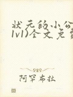 状元的小公主(1v1)全文免费阅读