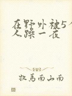 在野外被5个男人躁一夜