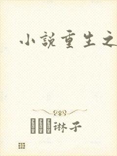 小说重生之官道