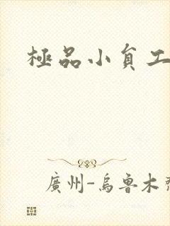 极品小员工