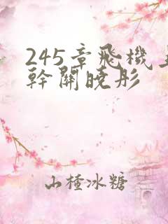 245章飞机上干关晓彤