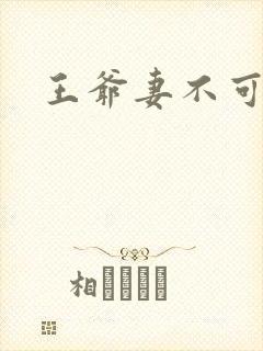 王爷妻不可欺