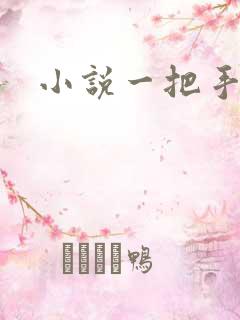 小说一把手