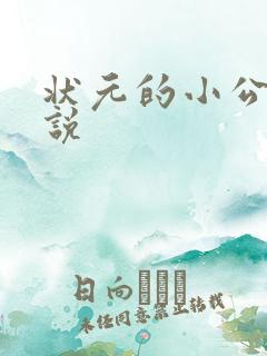 状元的小公主小说