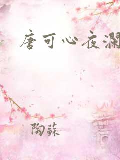 唐可心夜澜绝