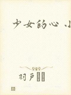少女的心 小说