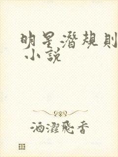 明星潜规则之皇 小说