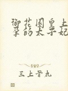 御花园皇上C有孕的太子妃