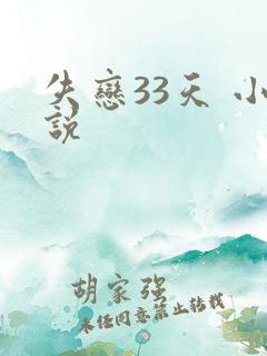 失恋33天 小说