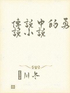 传说中的勇者传说小说