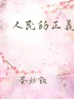 人民的正义小说