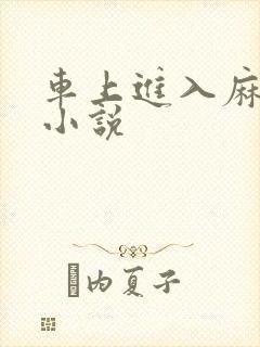 车上进入麻麻的小说