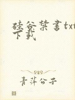 硅谷禁书txt下载