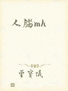 人脑mh