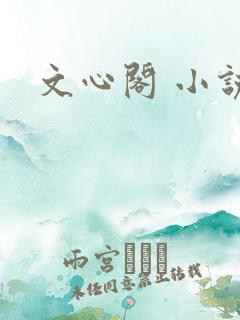 文心阁 小说