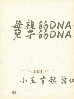 母亲的DNA和儿子的DNA是一样的吗