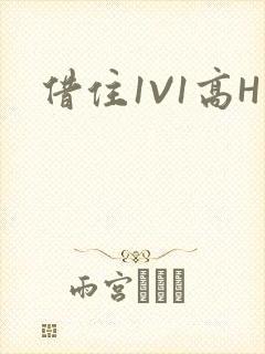 借住1V1高H