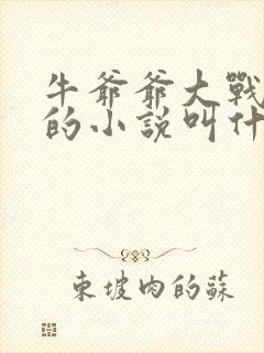 牛爷爷大战小丽的小说叫什么