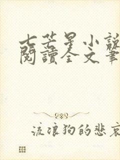 七芒星小说免费阅读全文笔趣阁