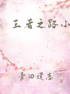 王者之路小说
