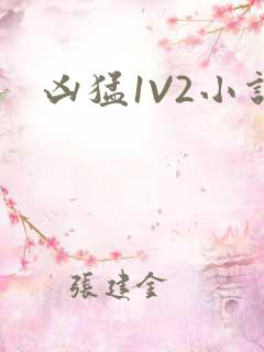 凶猛1V2小说
