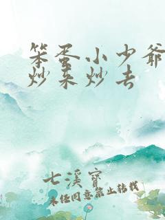 笨蛋小少爷又被炒来炒去