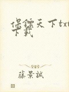 保镖天下txt下载