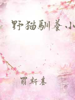 野猫驯养小说
