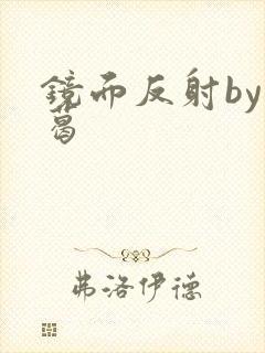 镜面反射by九葛