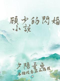 顾少的闪婚宠妻 小说