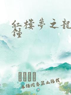 红楼梦之龙套秦钟